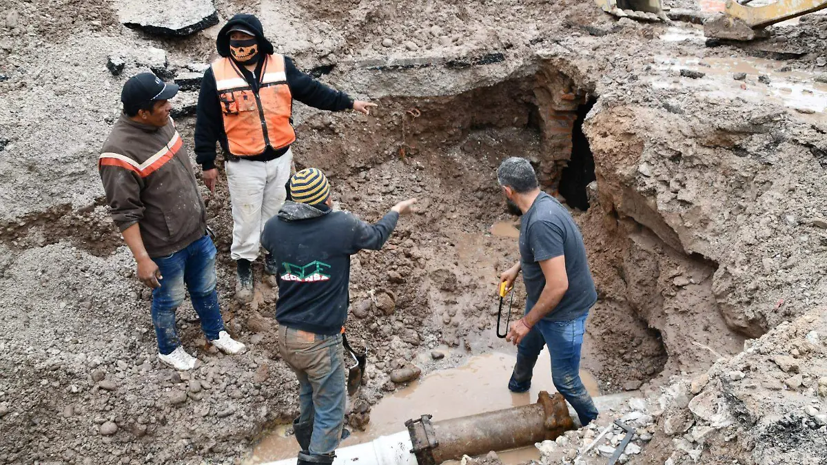 WhatsApp Image 2026-01-14 at 13.56.15