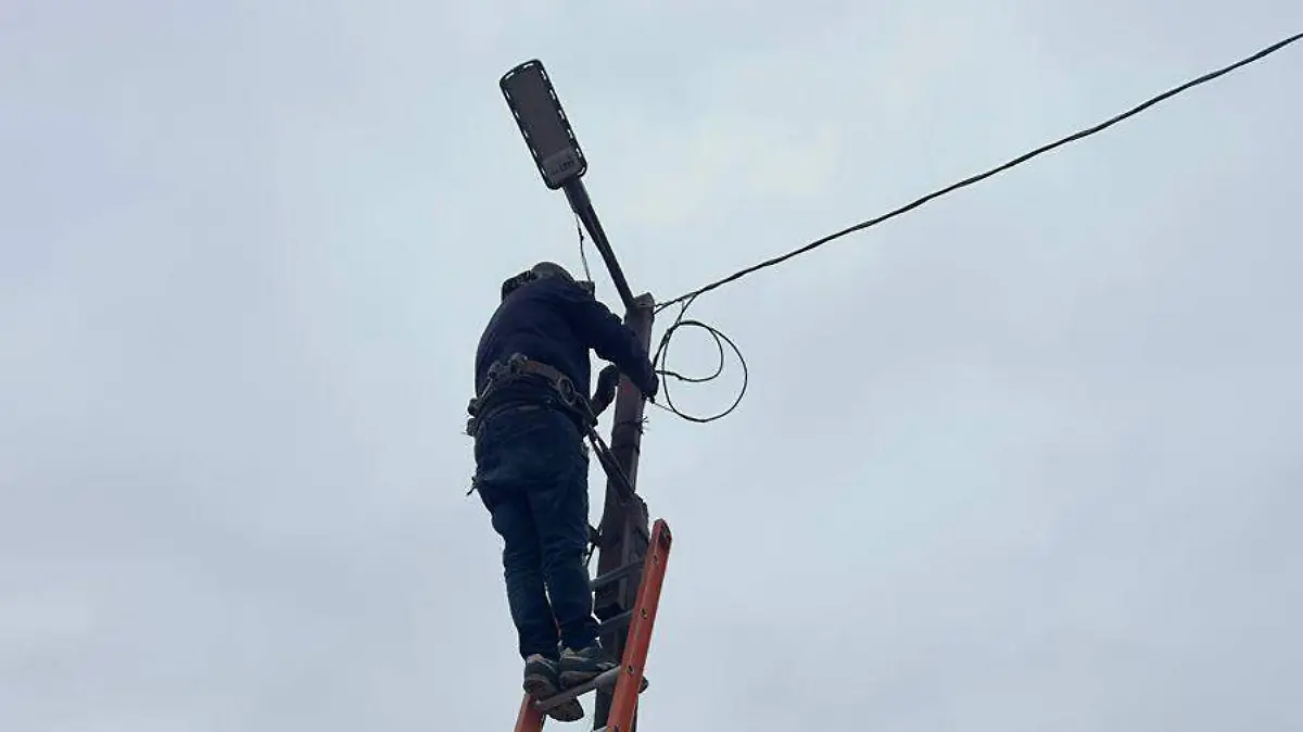 WhatsApp Image 2026-01-14 at 14.44.59