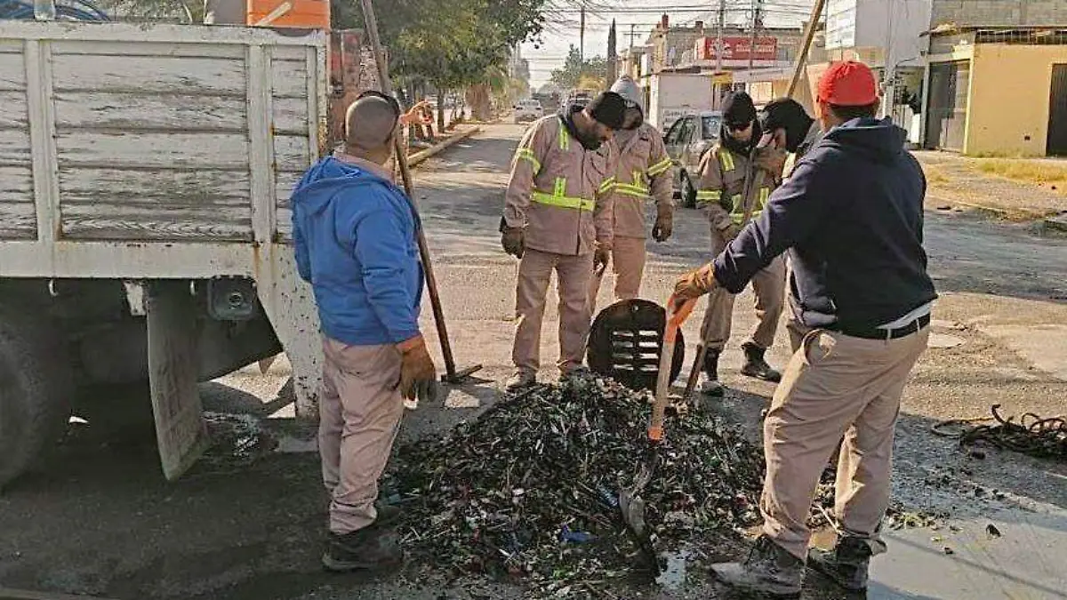 WhatsApp Image 2026-01-15 at 10.29.30