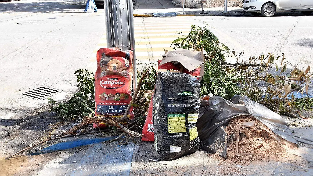 WhatsApp Image 2026-01-15 at 13.32.12