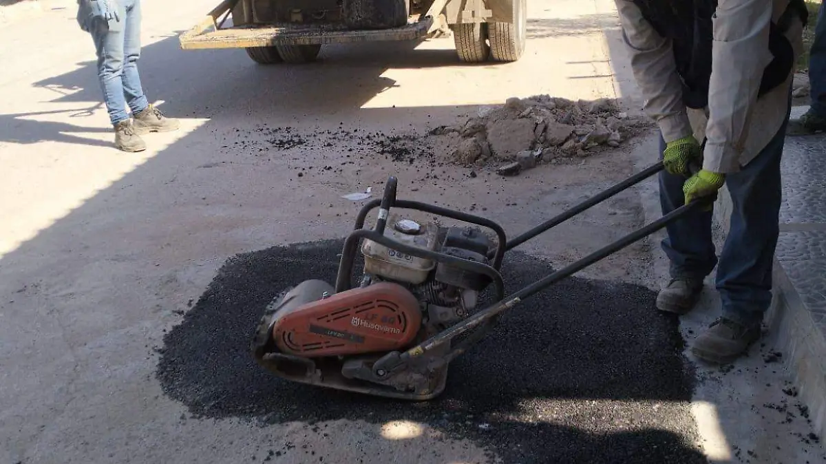 WhatsApp Image 2026-01-15 at 14.12.12