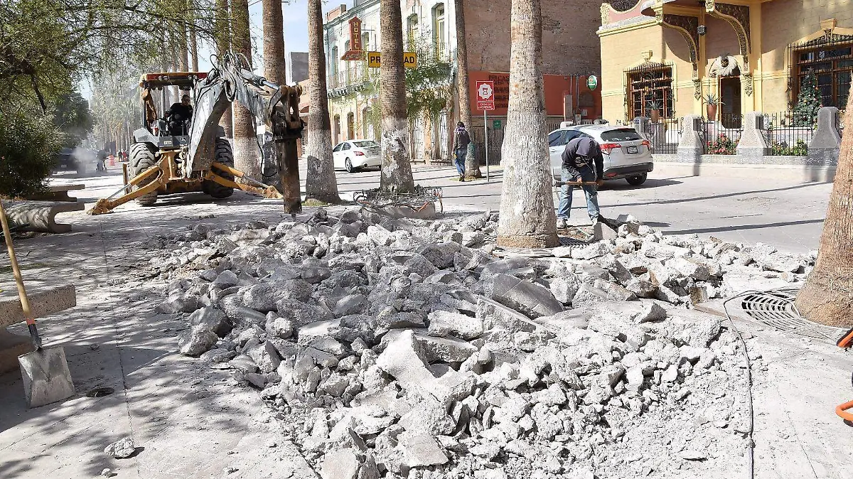 WhatsApp Image 2026-01-15 at 14.16.54