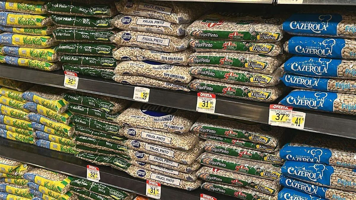 WhatsApp Image 2026-01-15 at 16.16.42