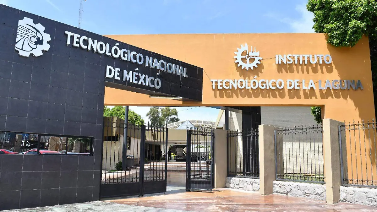 WhatsApp Image 2026-01-15 at 14.06.28