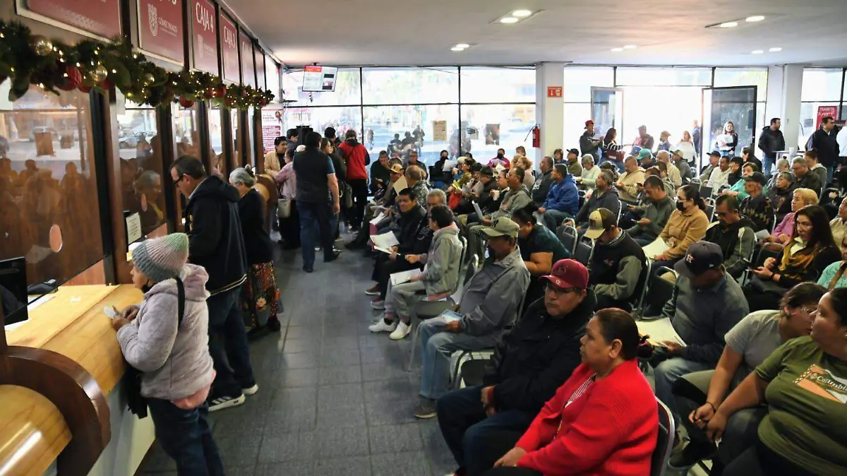 WhatsApp Image 2026-01-15 at 16.01.26 (1)