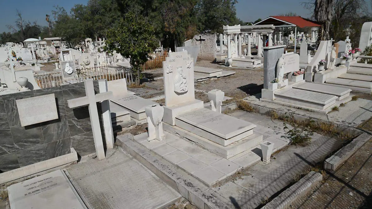 WhatsApp Image 2026-01-15 at 16.01.27