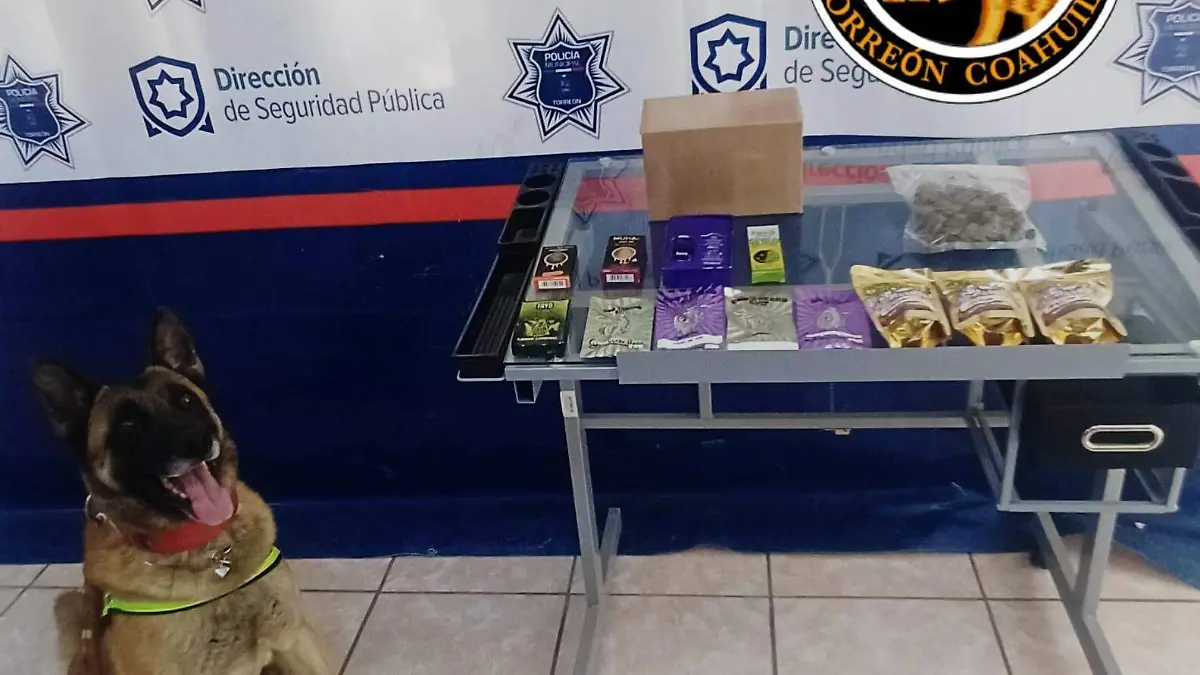 WhatsApp Image 2026-01-15 at 7.57.30 PM