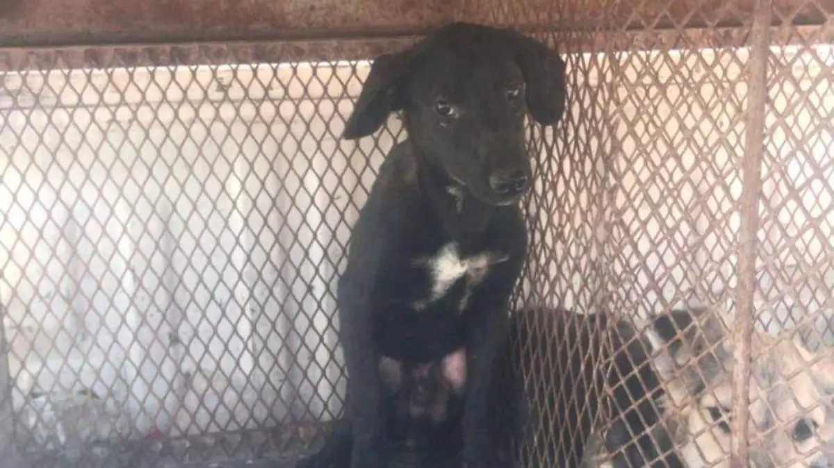 WhatsApp Image 2026-01-16 at 9.47.40 AM (1)