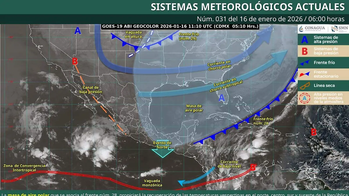 WhatsApp Image 2026-01-16 at 11.19.02 AM