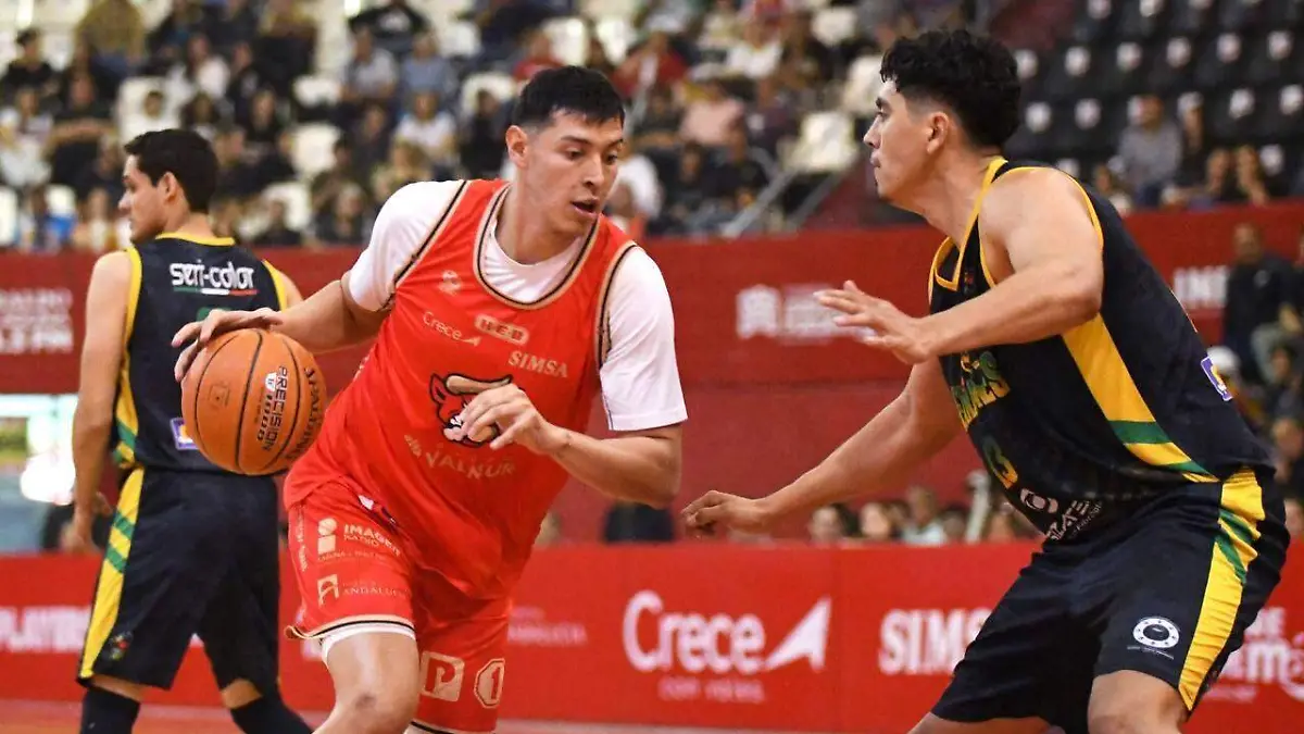 WhatsApp Image 2026-01-16 at 3.36.38 PM