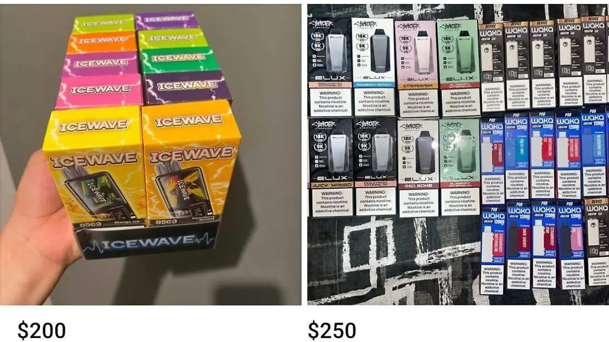 WhatsApp Image 2026-01-16 at 17.35.57