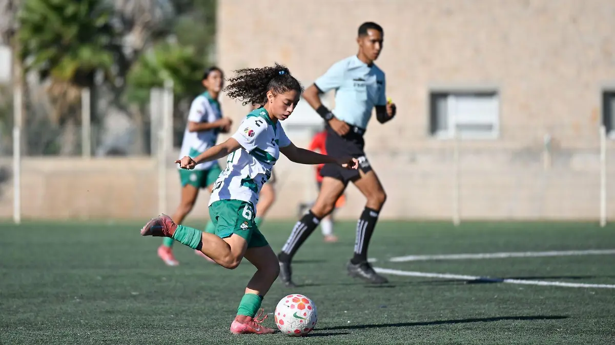 WhatsApp Image 2026-01-17 at 3.02.41 PM