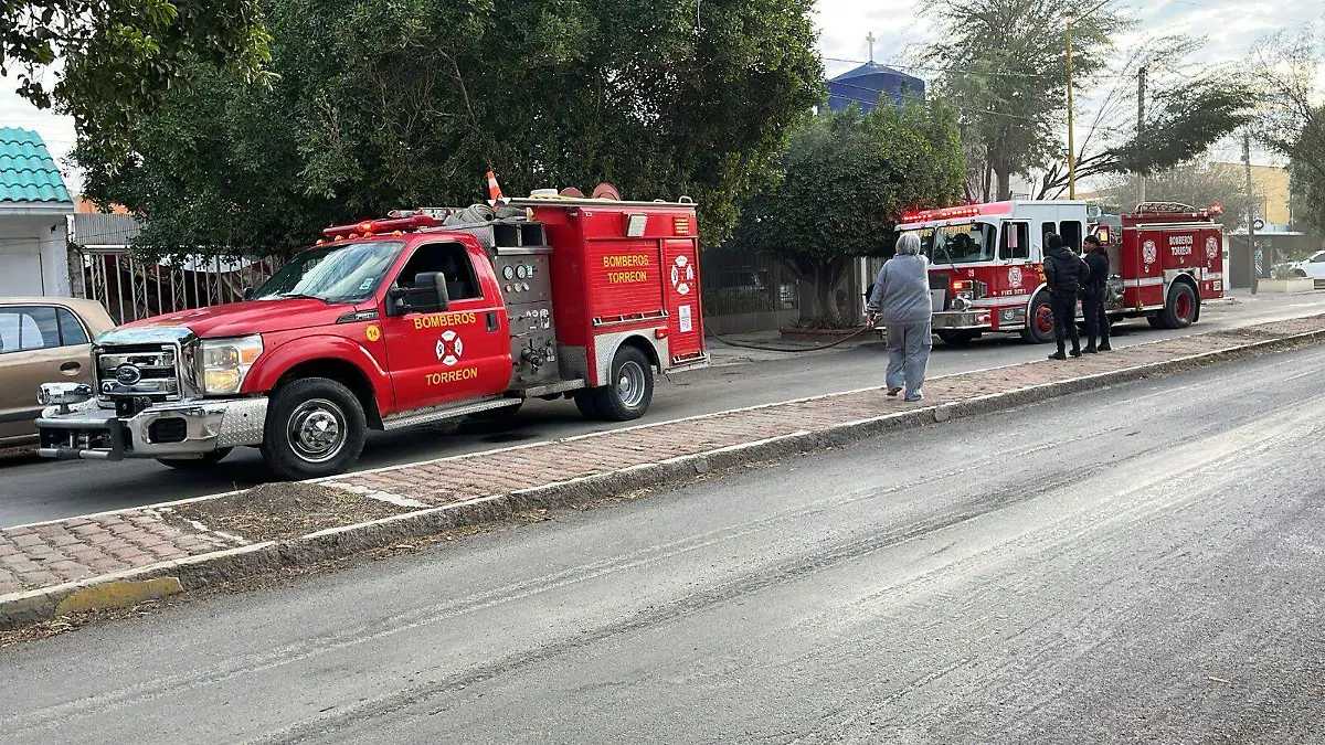 WhatsApp Image 2026-01-17 at 3.26.52 PM