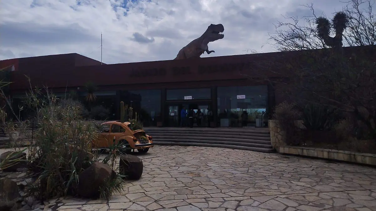 WhatsApp Image 2026-01-18 at 13.56.02