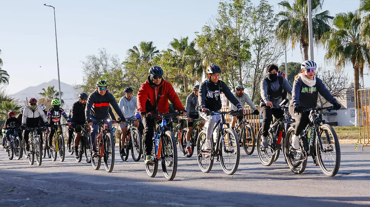 WhatsApp Image 2026-01-18 at 14.10.44