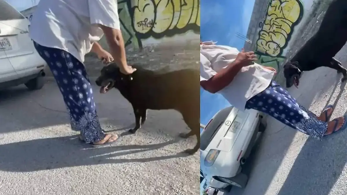 5b241287-5a6b-4d83-871b-94bb8f975fa2