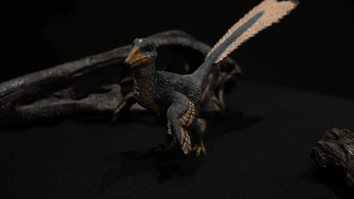 Xenovenator espinosai.