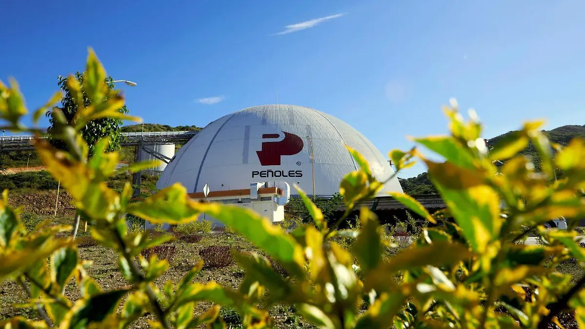 WhatsApp Image 2026-01-19 at 12.18.29