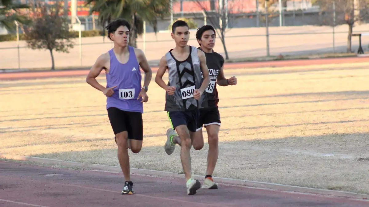 WhatsApp Image 2026-01-19 at 13.09.02