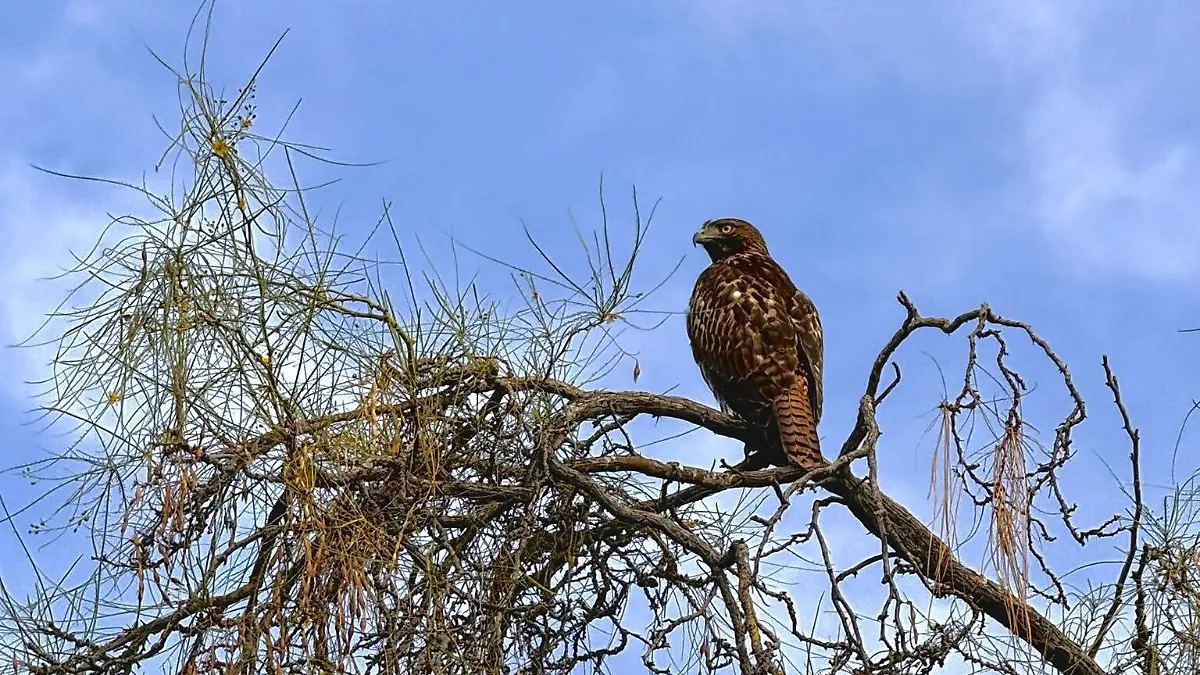 616670188_1336420688525070_3786209980483235152_n