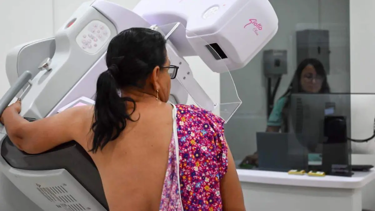 WhatsApp Image 2026-01-19 at 13.10.13 (1)