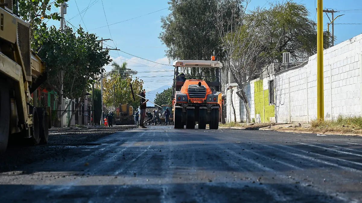 WhatsApp Image 2026-01-19 at 11.07.02