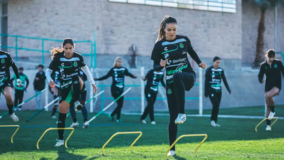 WhatsApp Image 2026-01-19 at 14.36.06