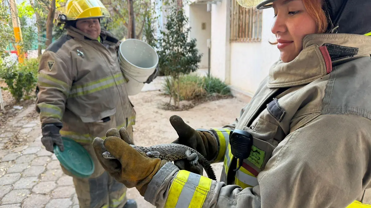 8b86b8ac-6e71-4605-8ecb-926cbc922a1d