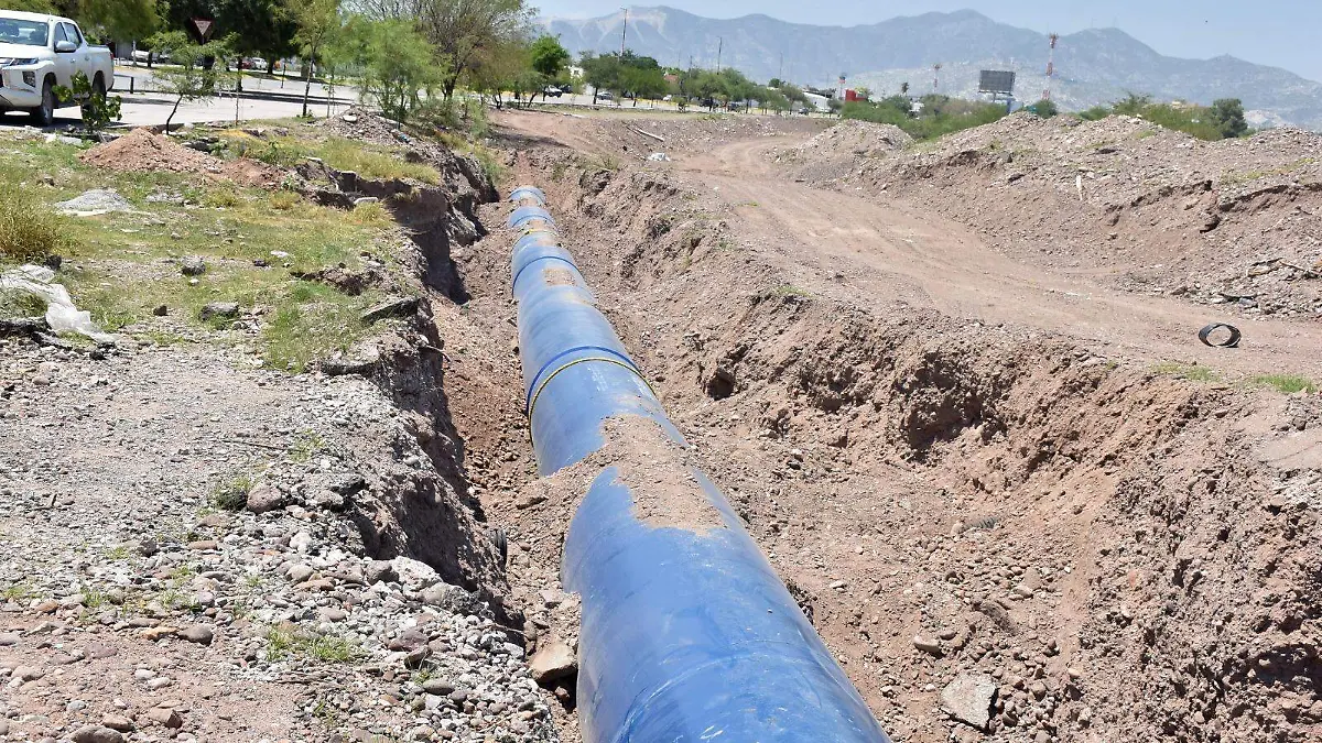 WhatsApp Image 2026-01-21 at 15.16.13