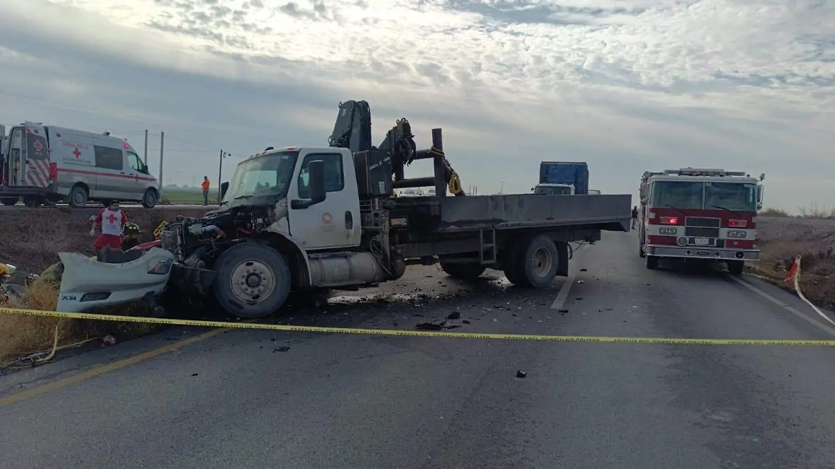 WhatsApp Image 2026-01-21 at 15.29.49