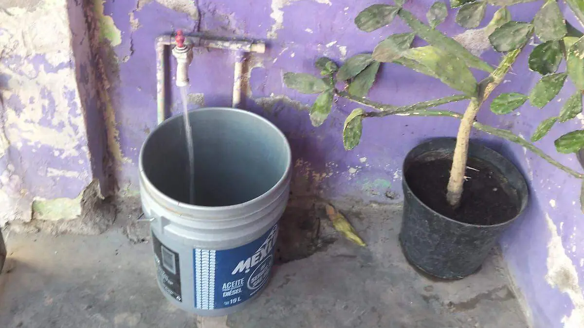 WhatsApp Image 2026-01-21 at 16.11.48 (1)