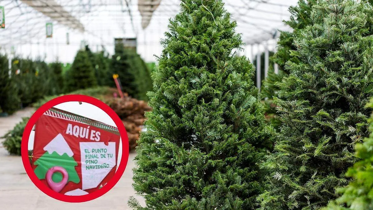 Medidas Portada CUE (27)