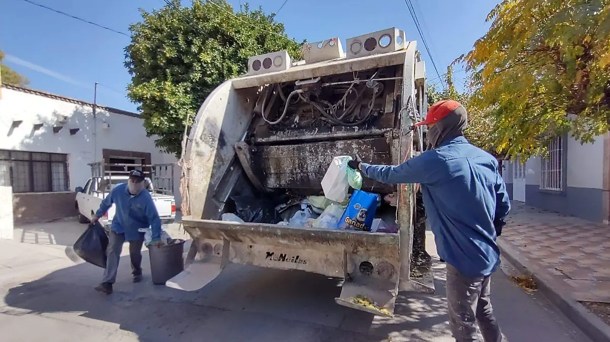 WhatsApp Image 2026-01-22 at 10.26.21