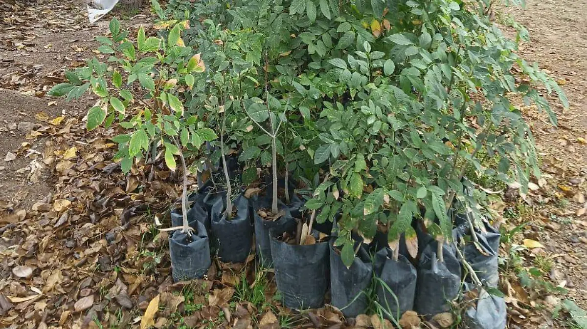 WhatsApp Image 2026-01-22 at 12.48.21