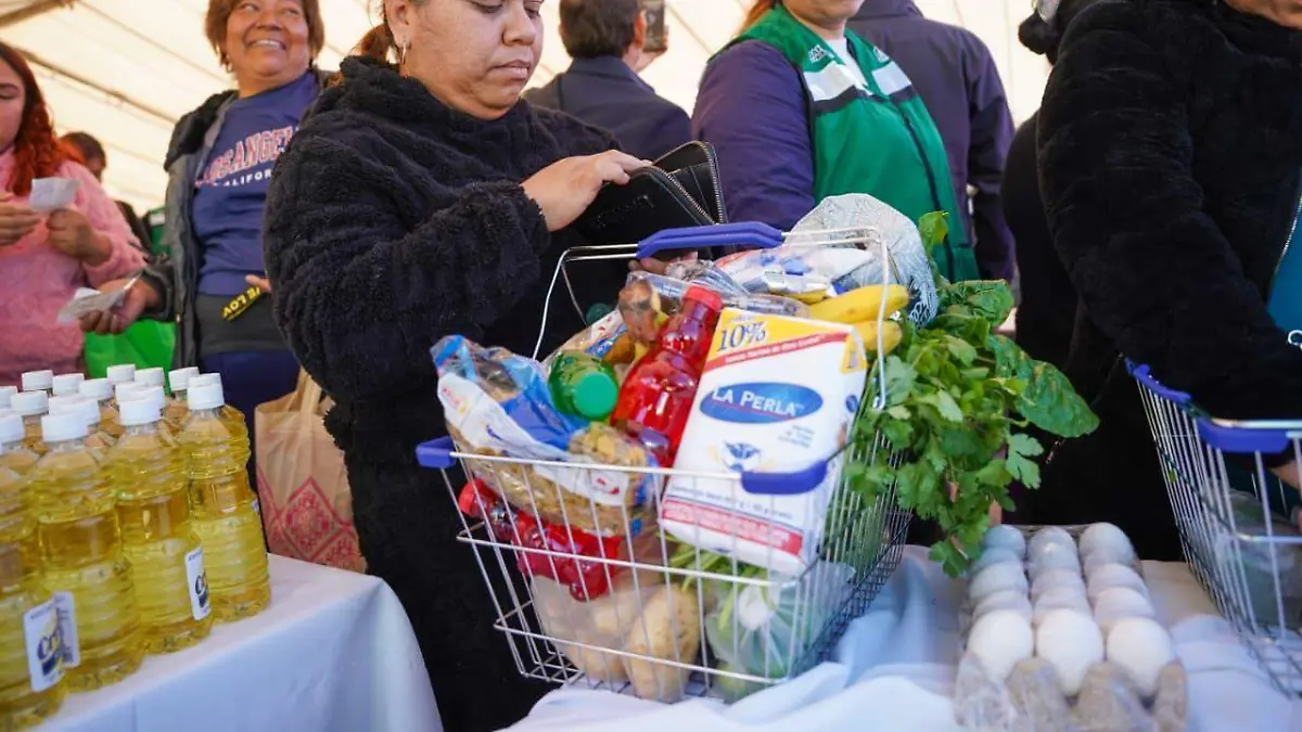 WhatsApp Image 2026-01-22 at 14.05.23