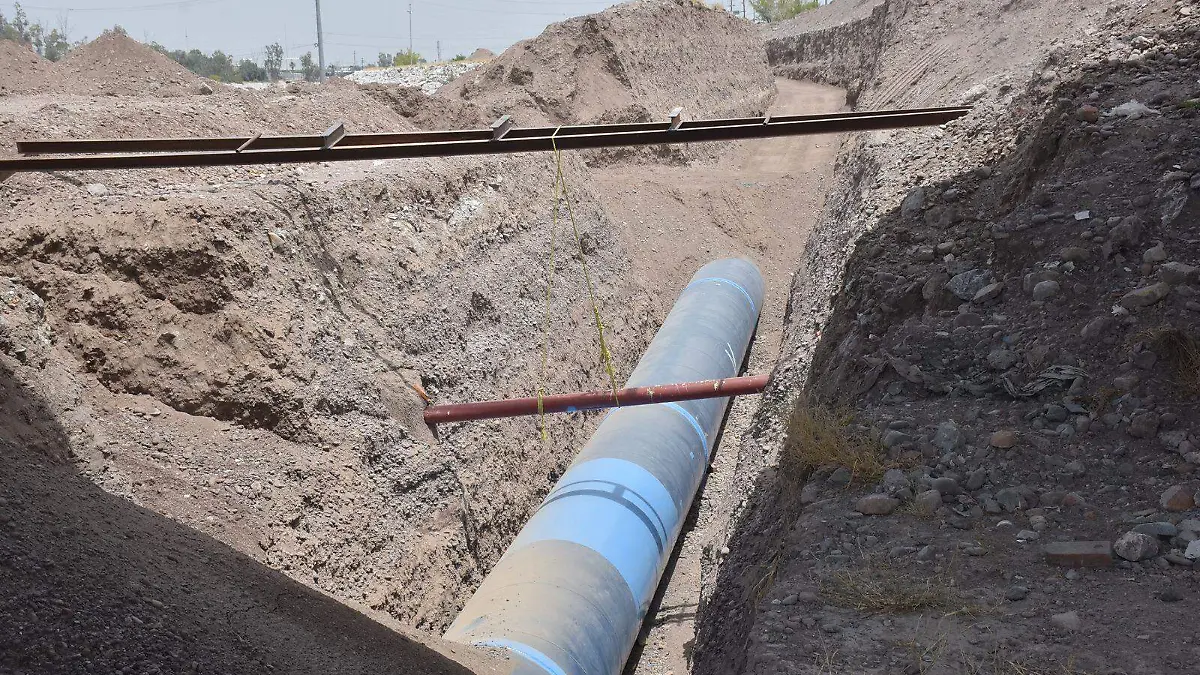 WhatsApp Image 2026-01-23 at 09.38.25