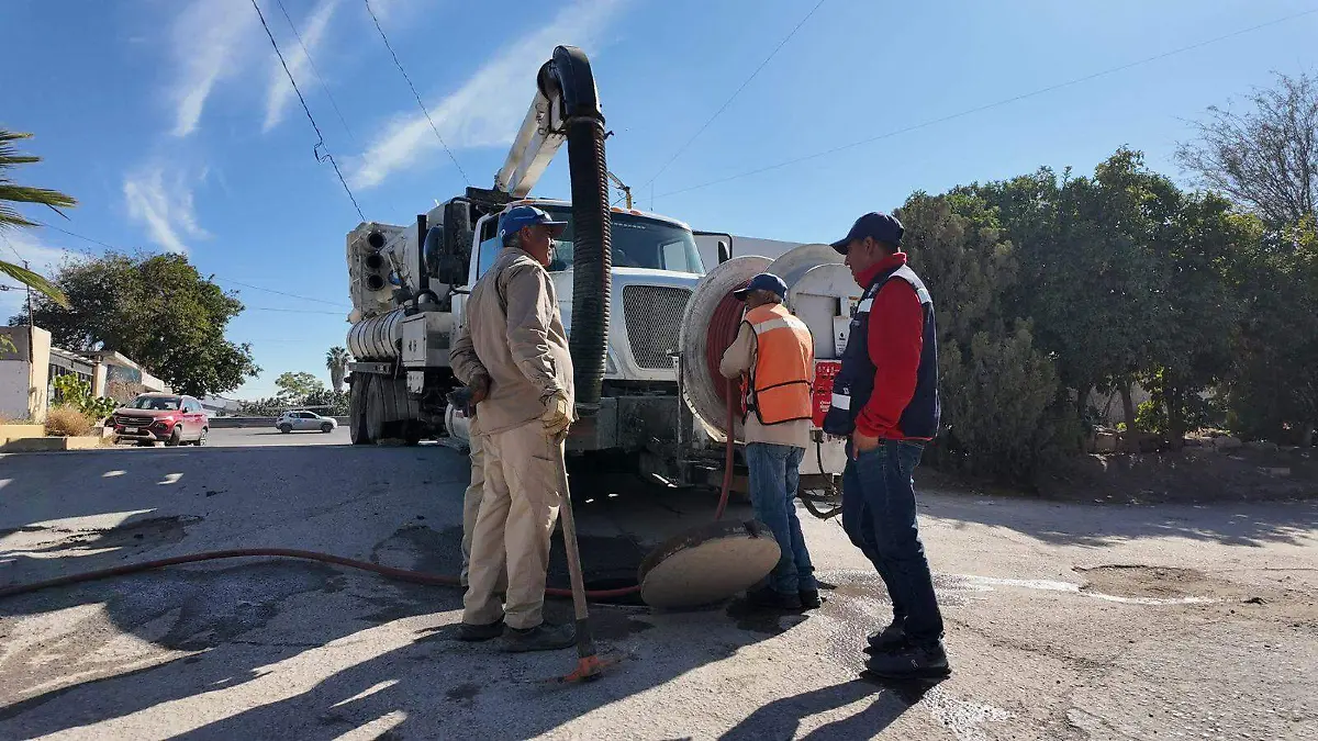 WhatsApp Image 2026-01-23 at 12.55.16