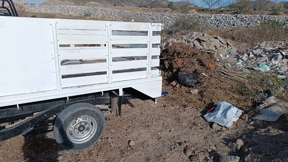 WhatsApp Image 2026-01-23 at 12.55.16 (2)