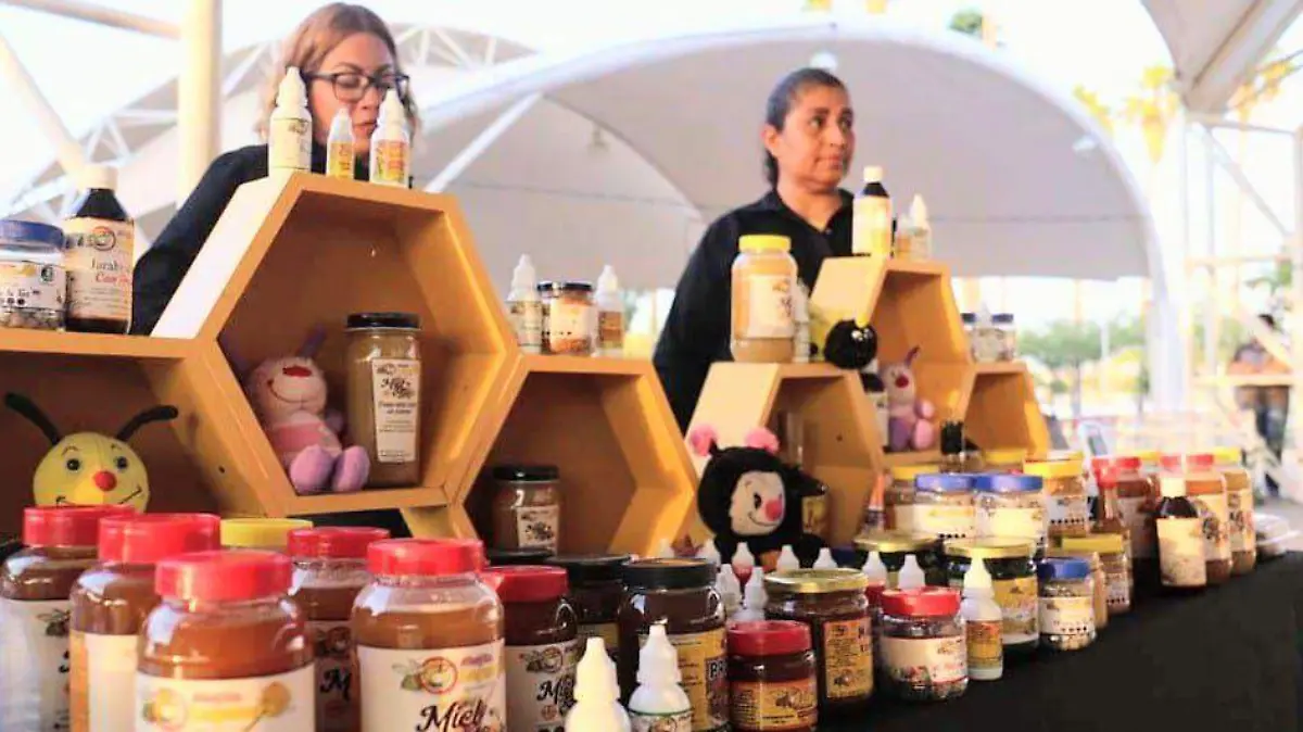 WhatsApp Image 2026-01-23 at 16.53.48