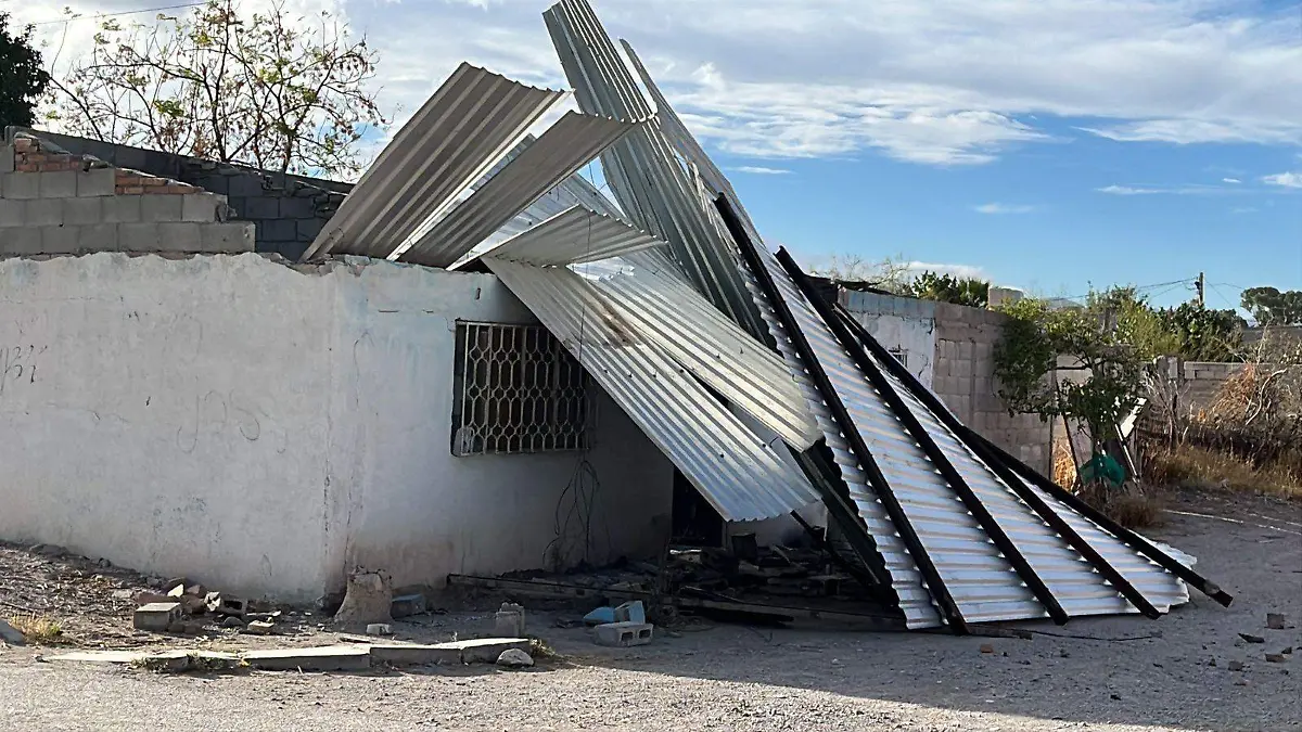 WhatsApp Image 2026-01-24 at 6.25.54 PM