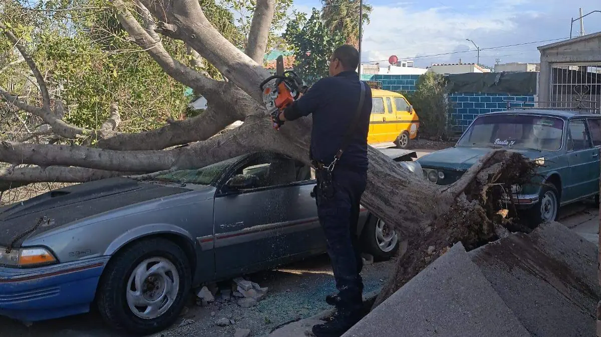 WhatsApp Image 2026-01-24 at 6.45.26 PM