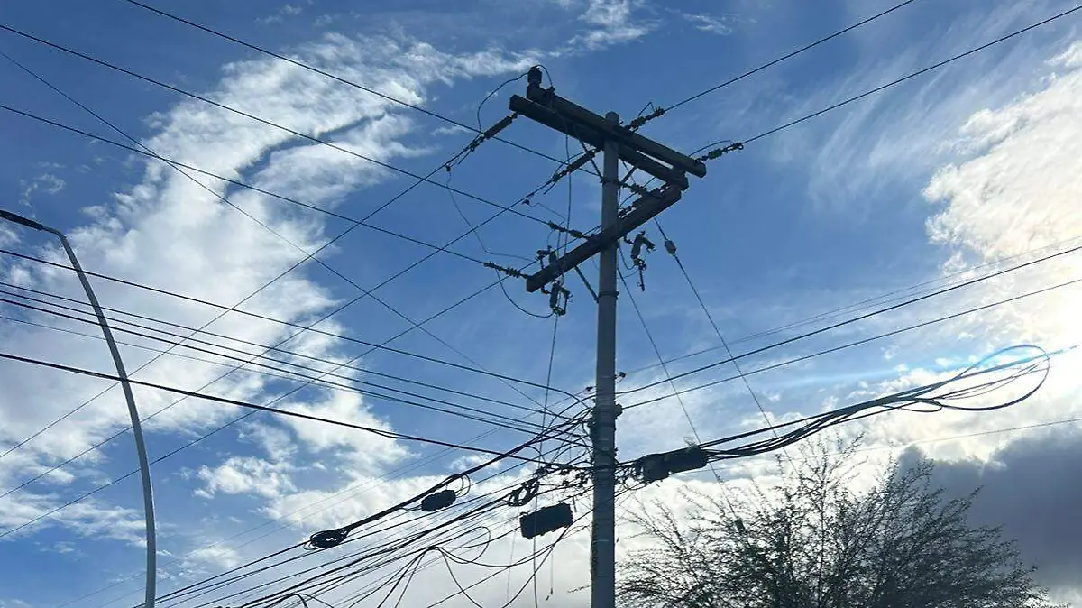 WhatsApp Image 2026-01-24 at 8.51.25 PM