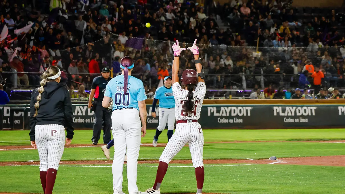 WhatsApp Image 2026-01-24 at 11.13.24 PM