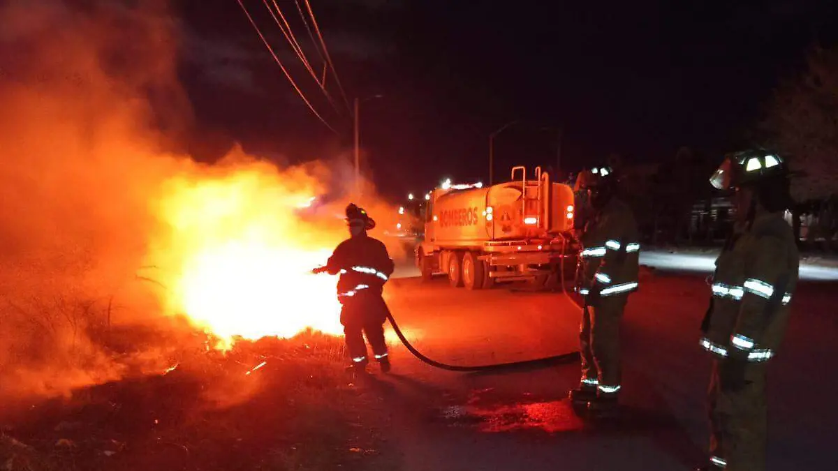 WhatsApp Image 2026-01-25 at 12.07.32