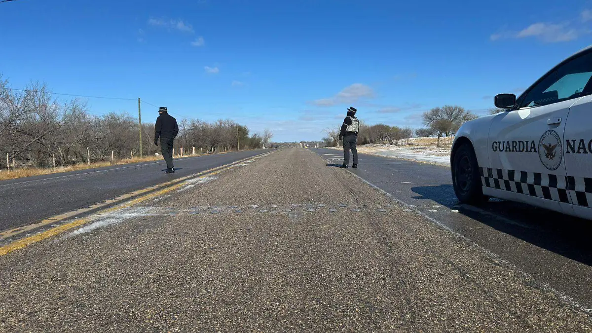 WhatsApp Image 2026-01-25 at 12.54.04