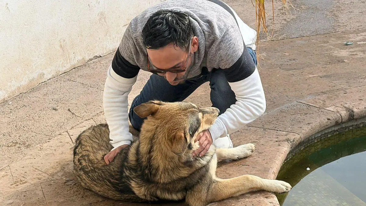 La familia que vive con 9 lobos en Torreón