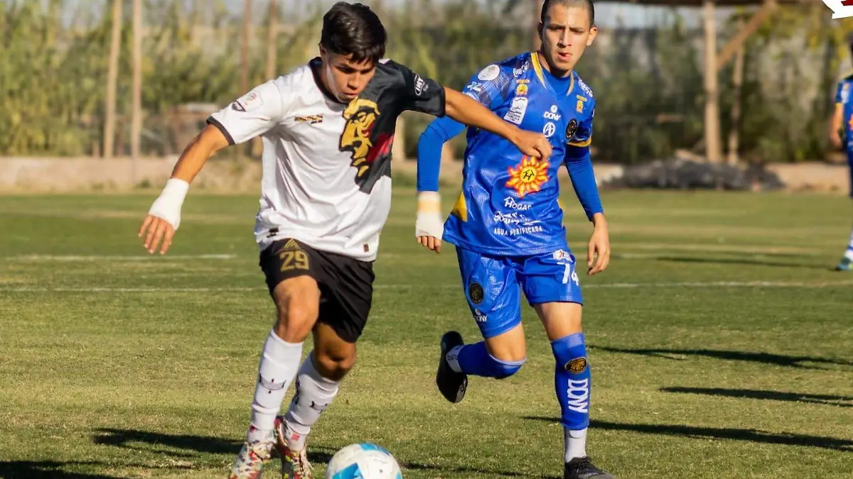 WhatsApp Image 2026-01-26 at 4.17.54 PM