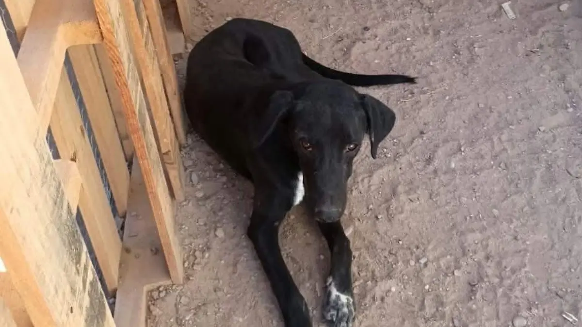 WhatsApp Image 2026-01-27 at 9.07.42 AM