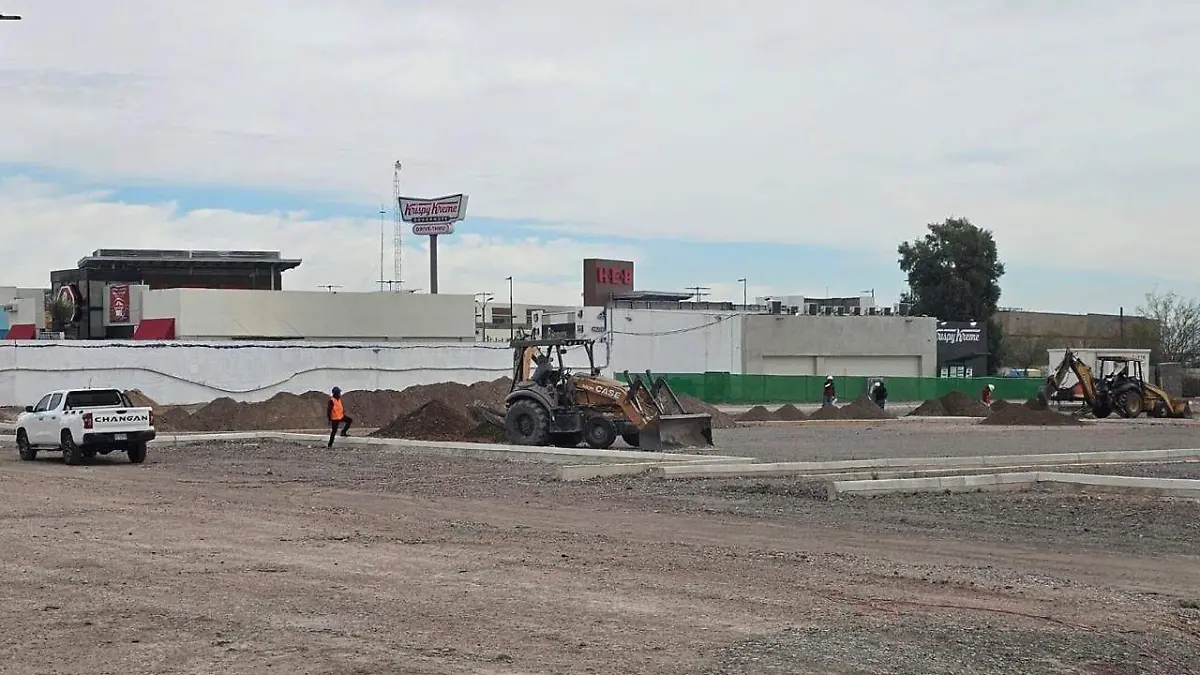 WhatsApp Image 2026-01-27 at 11.37.51