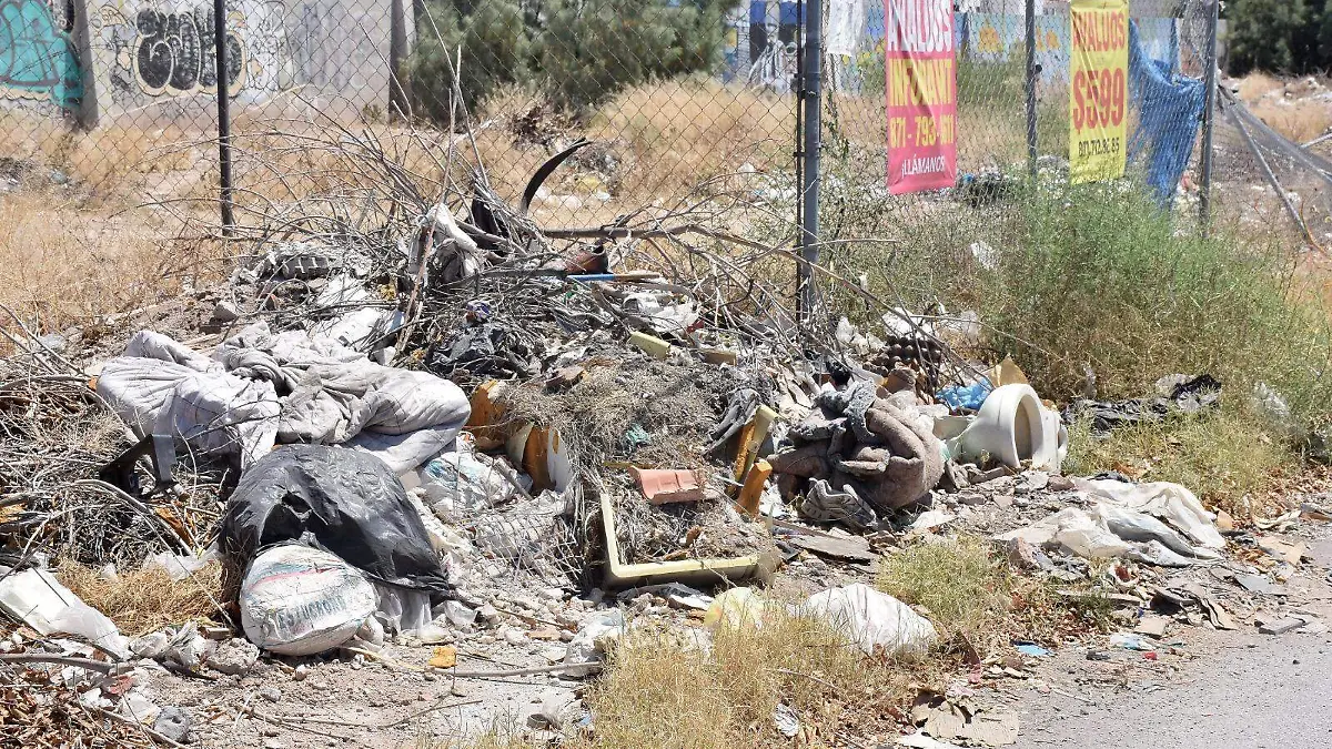 WhatsApp Image 2026-01-27 at 13.51.08